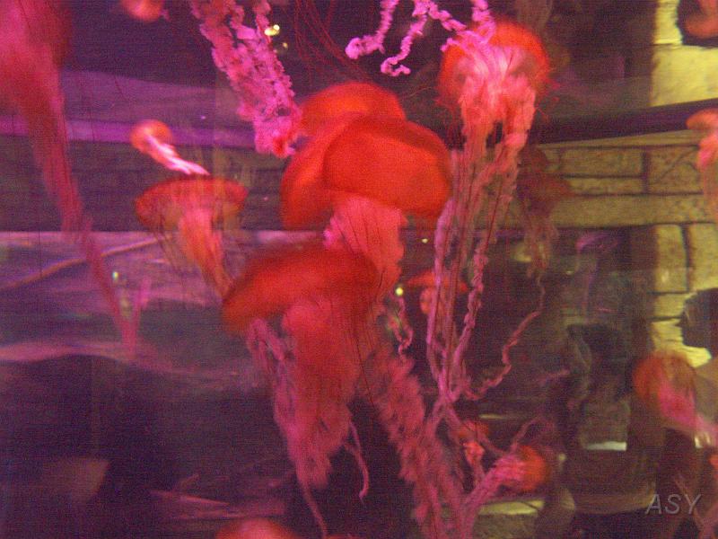 PICT1385.JPG