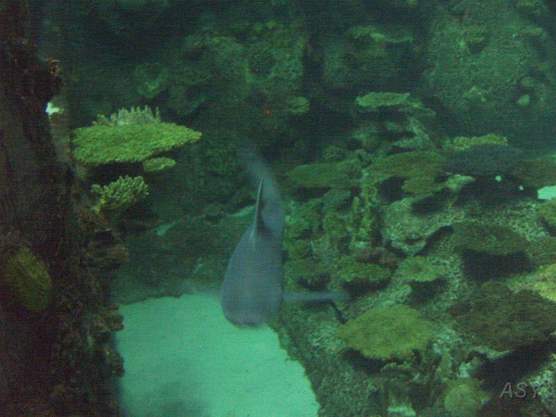 PICT1394.JPG