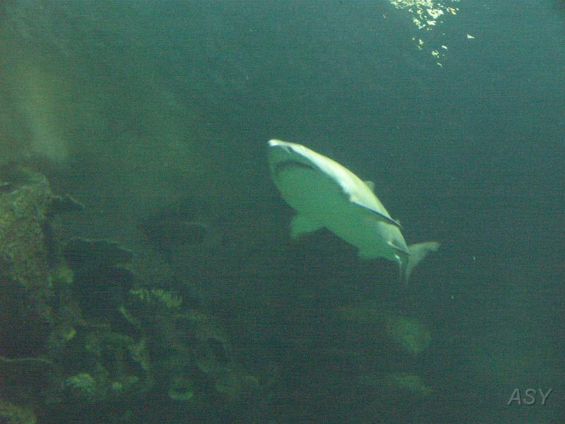 PICT1395.JPG