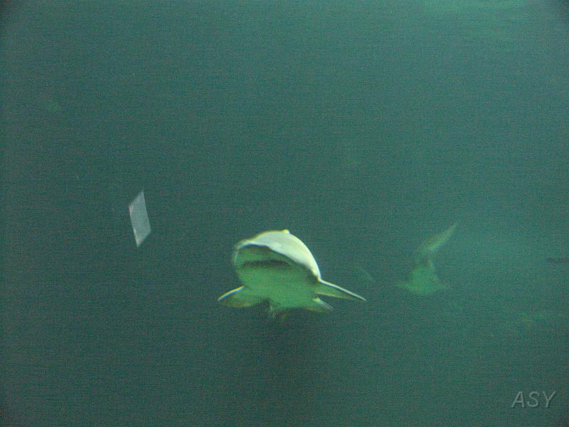 PICT1397.JPG