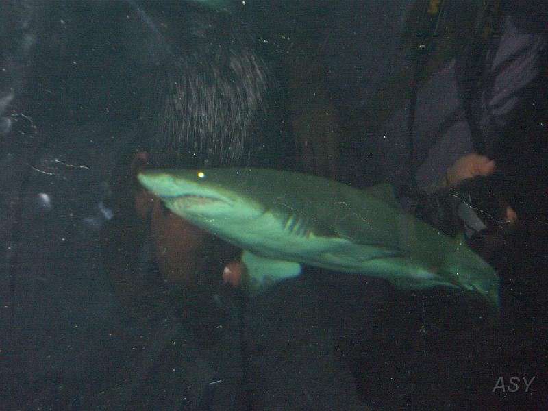 PICT1418.JPG