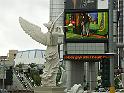 PICT0688