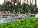 PICT0736