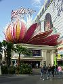 PICT0877