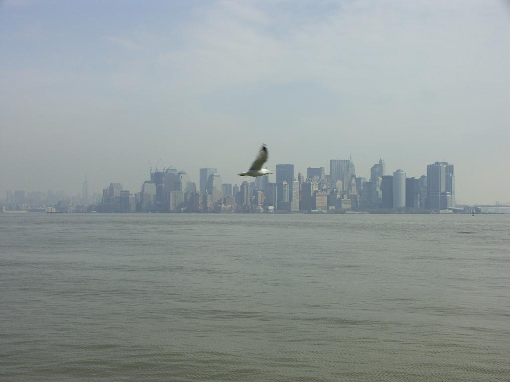 PICT0296.JPG