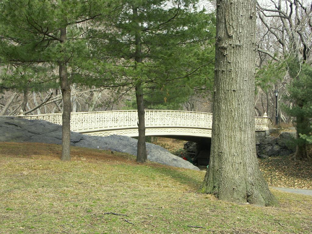 PICT0551.JPG