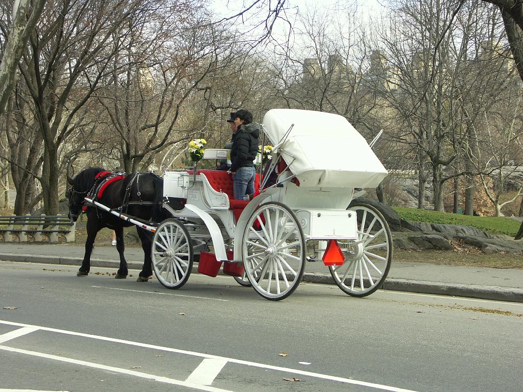 PICT0555.JPG