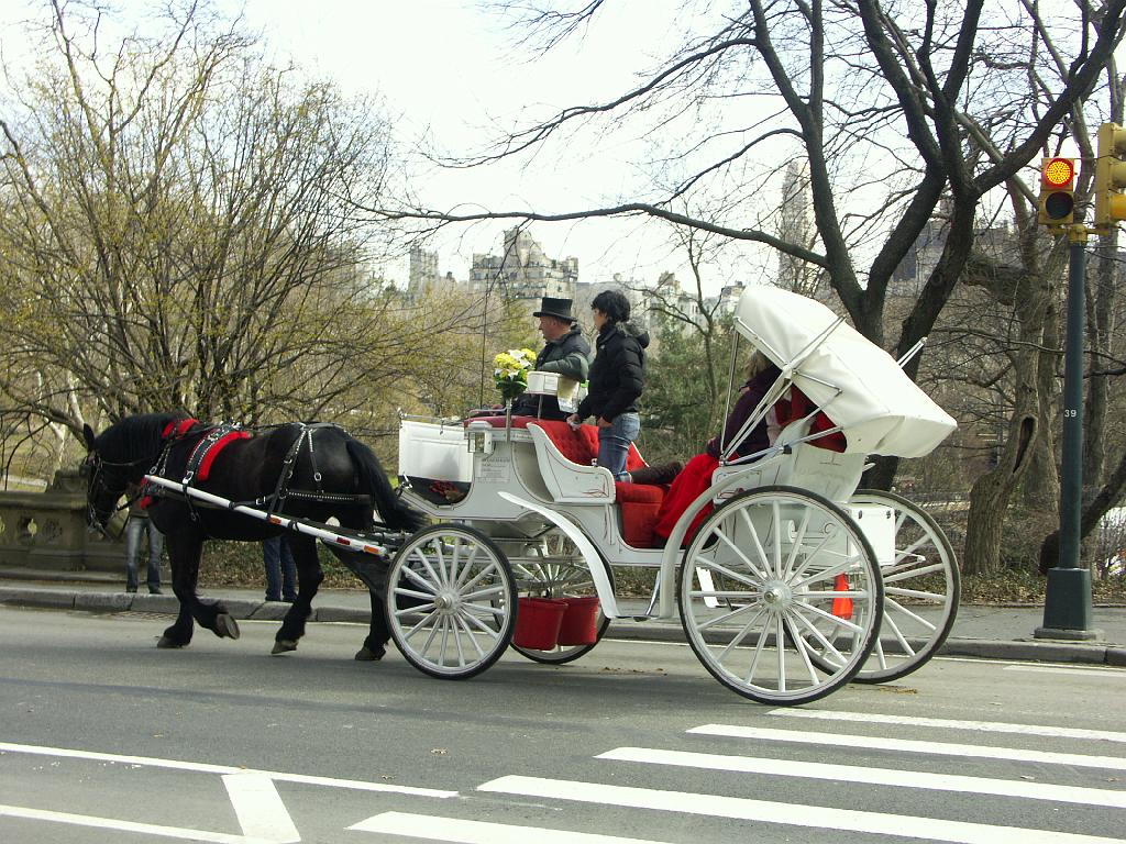PICT0556.JPG