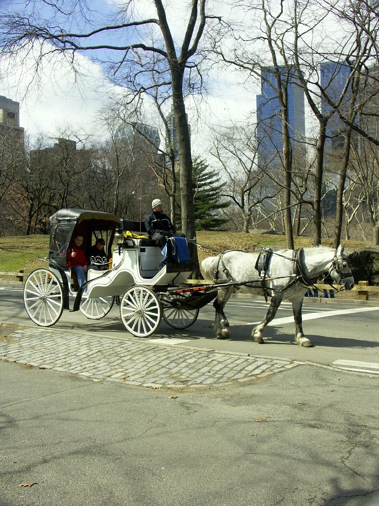 PICT0561.JPG