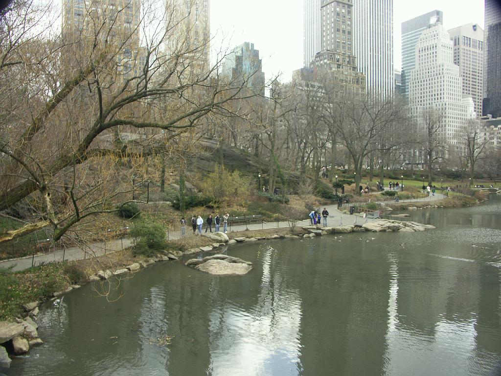 PICT0582.JPG