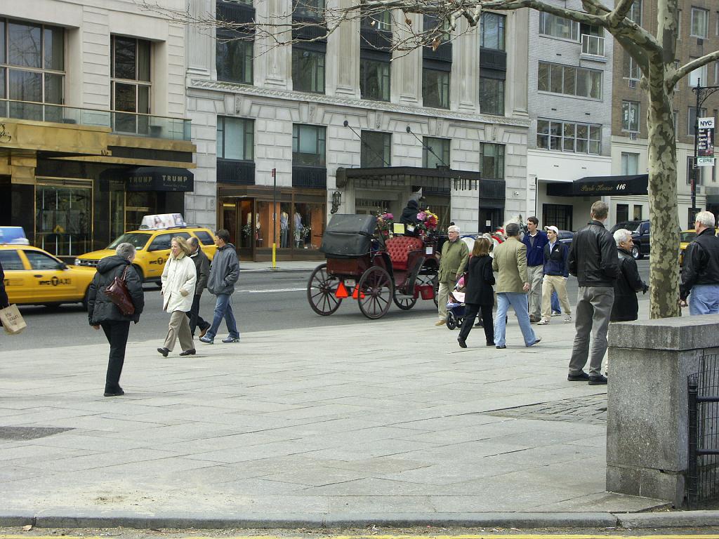 PICT0590.JPG