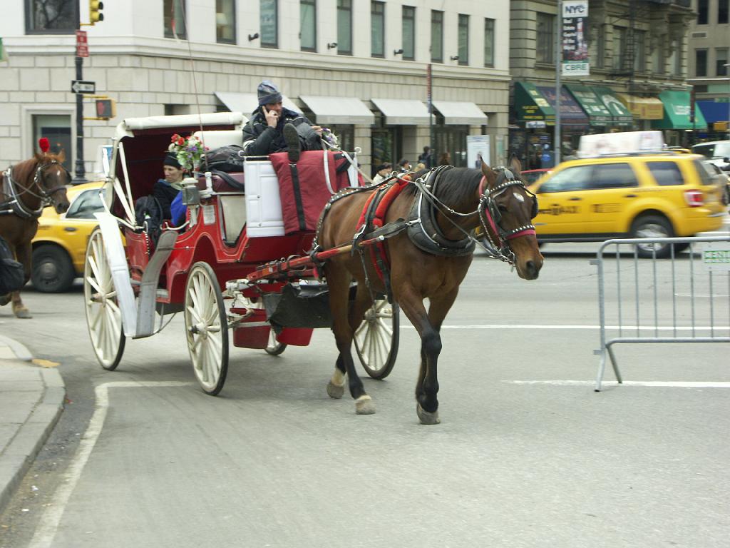 PICT0591.JPG