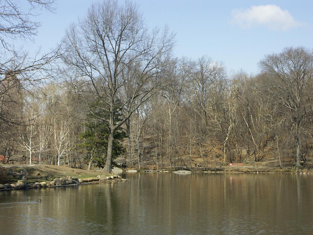 PICT0613.JPG