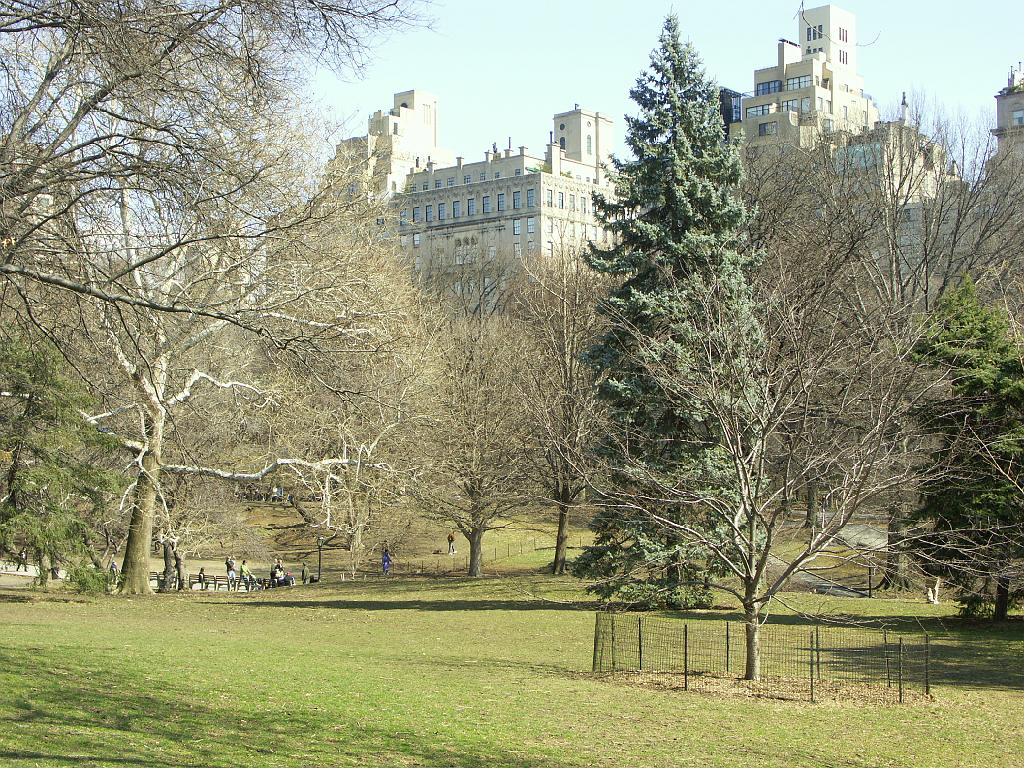 PICT0625.JPG