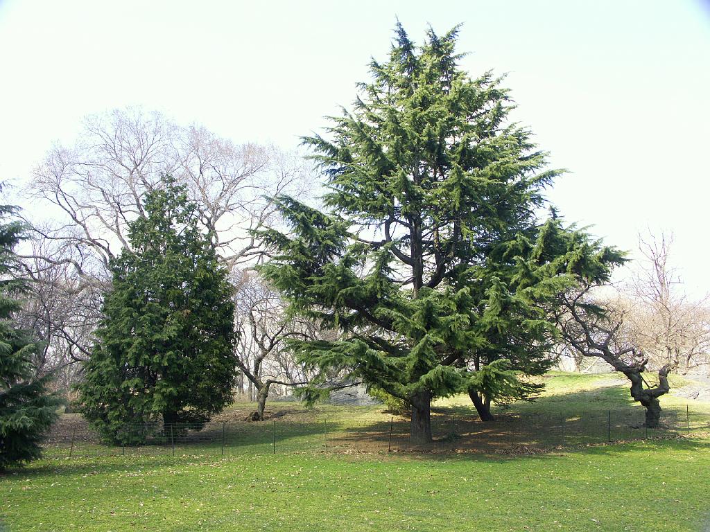PICT0626.JPG