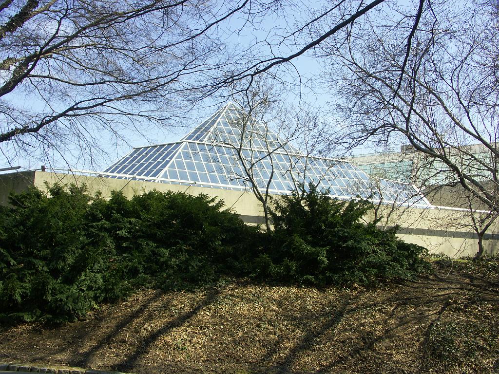 PICT0629.JPG