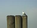 PICT0254