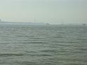 PICT0272