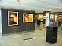 PICT0541