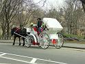 PICT0555