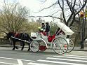 PICT0556