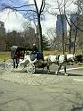 PICT0561