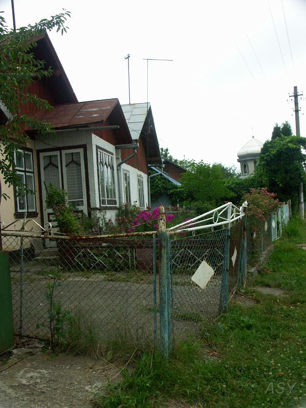 PICT2589.JPG