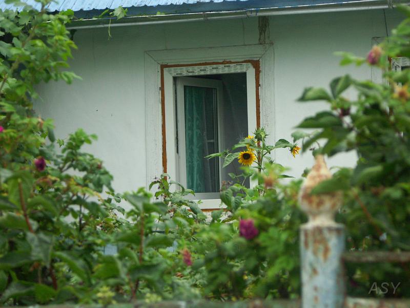 PICT2591.JPG