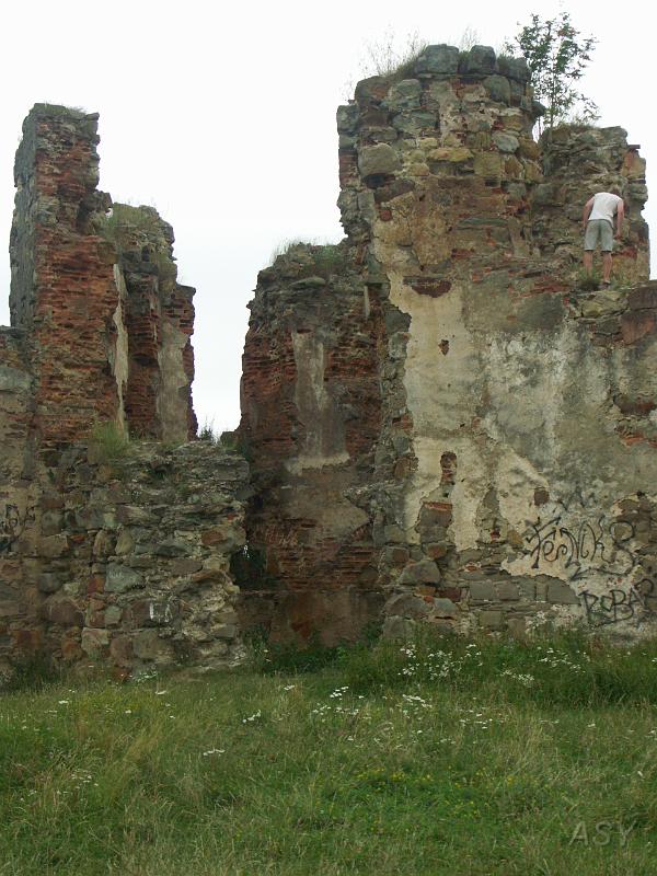 PICT2614.JPG - Piękny zamek.