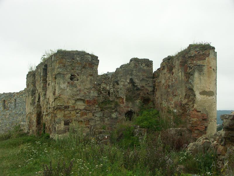 PICT2616.JPG