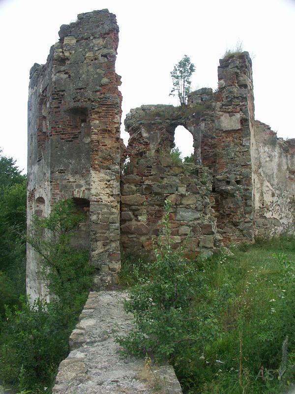 PICT2618.JPG