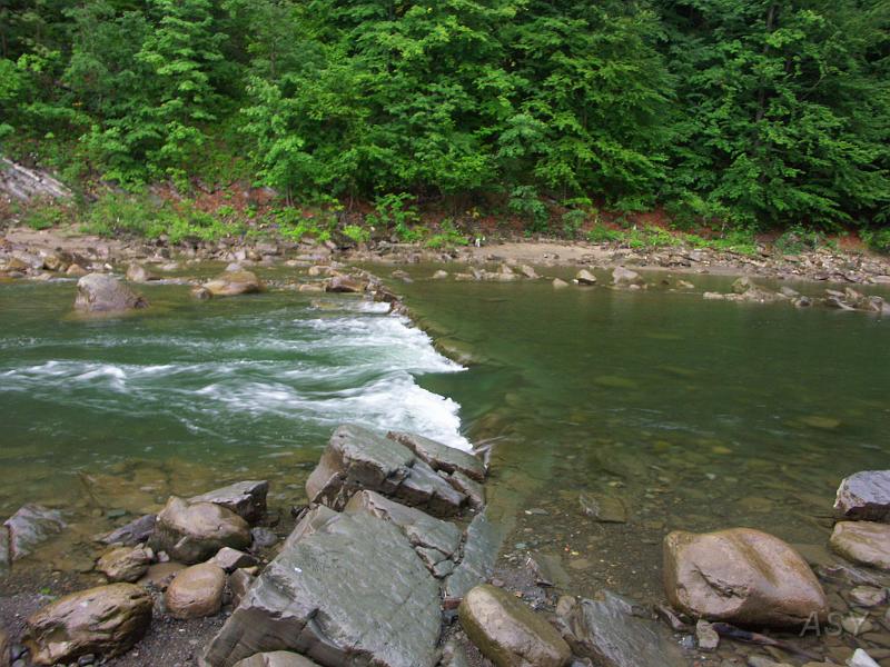 PICT2652.JPG - Prut