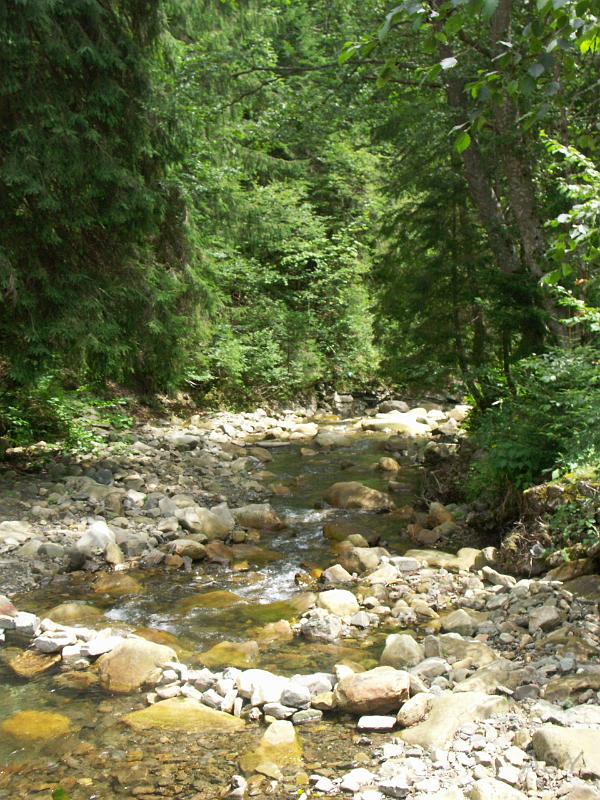 PICT2702.JPG