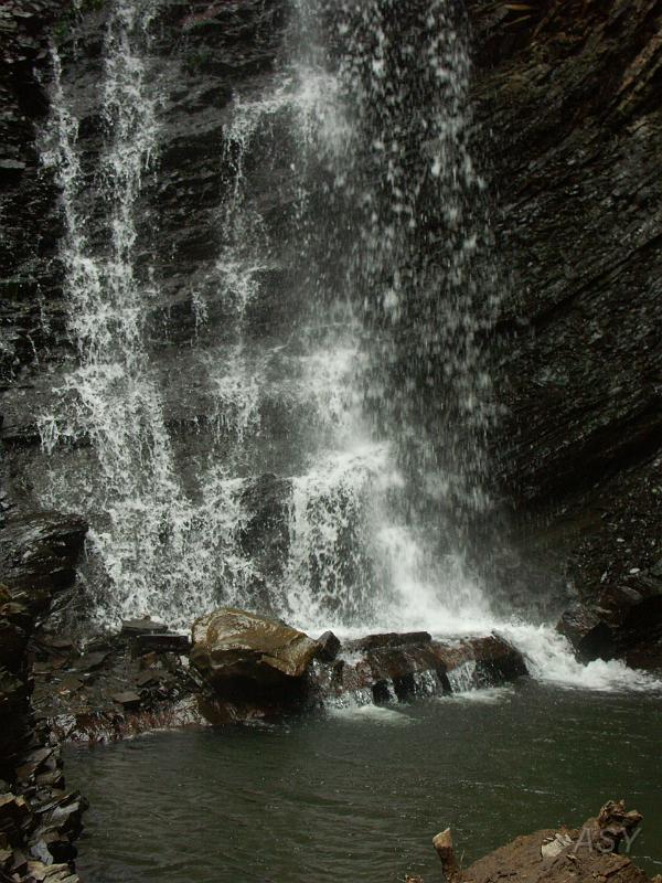 PICT2716.JPG