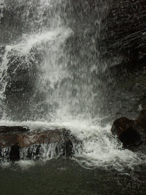 PICT2720.JPG