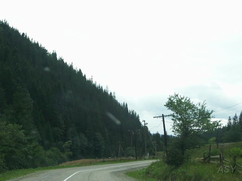 PICT2739.JPG
