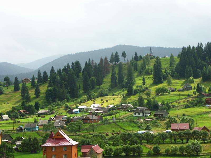 PICT2794.JPG