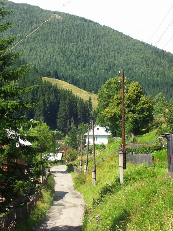 PICT2815.JPG