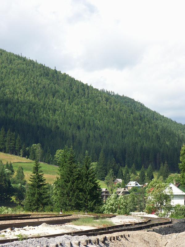PICT2821.JPG