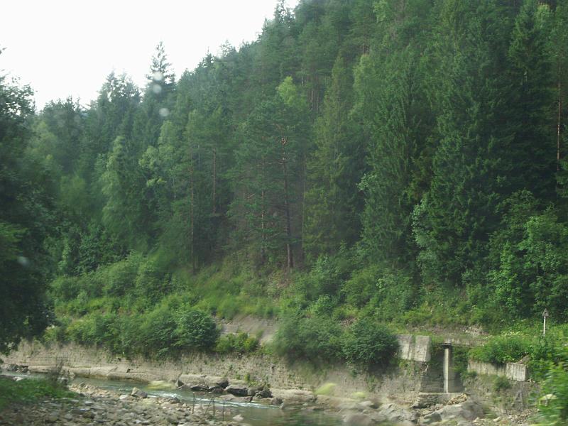 PICT2849.JPG