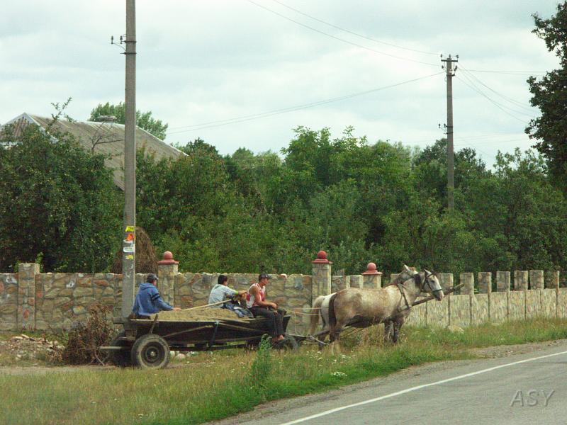 PICT2912.JPG