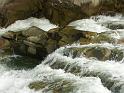 PICT2526