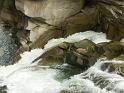 PICT2527
