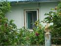PICT2591