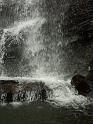 PICT2720