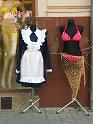 PICT3022