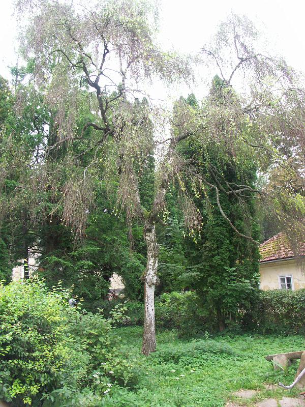 img0085.jpg - Pałac w Beńkowej Wiszni