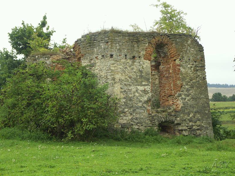 img0229.jpg - Świrz