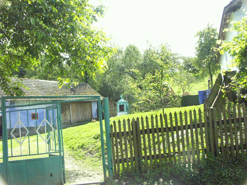 img0256.jpg