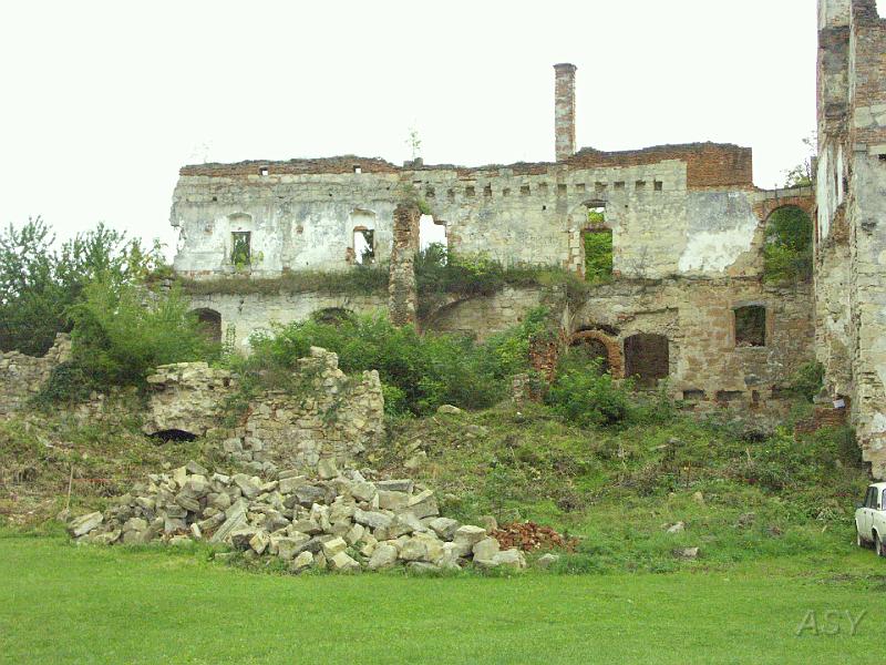 img0265.jpg - Zamek w Brzeżanach
